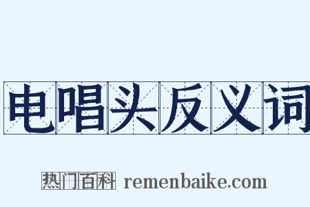 电唱头反义词是什么意思的图片